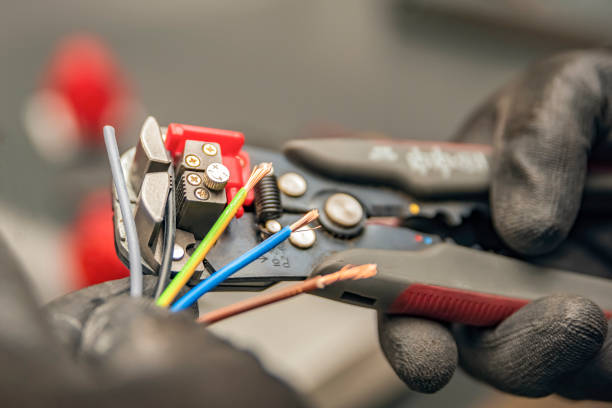 Best Electric Panel Repair  in Newberry, FL