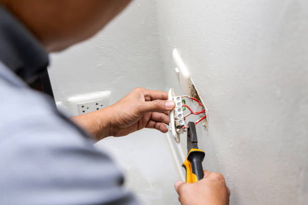 Best Outdoor Lighting Installation  in Newberry, FL