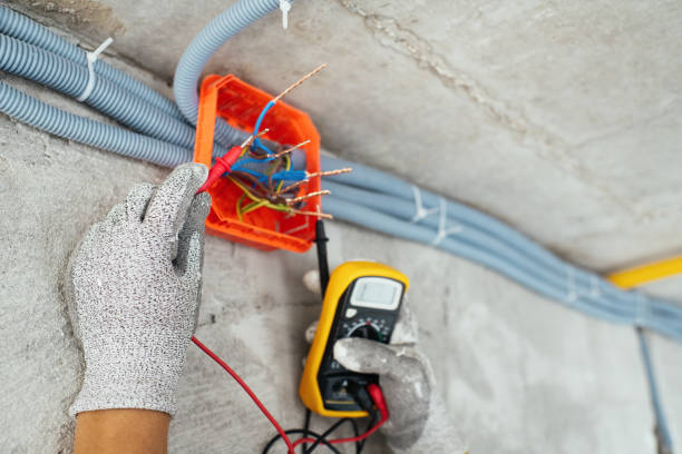 Best Electrical Troubleshooting Services  in Newberry, FL